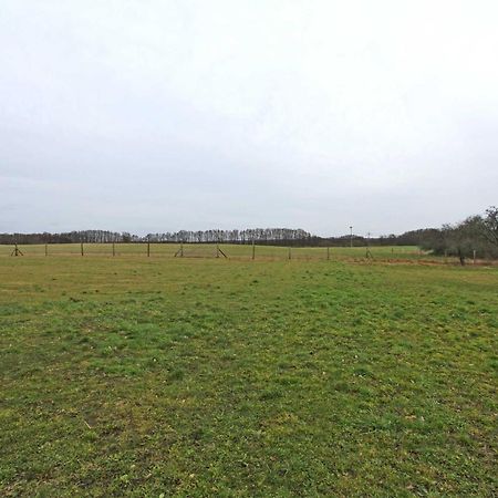 Ferienwohnungen Wredenhagen See 10860 ภายนอก รูปภาพ