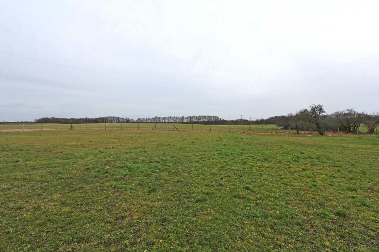 Ferienwohnungen Wredenhagen See 10860 ภายนอก รูปภาพ